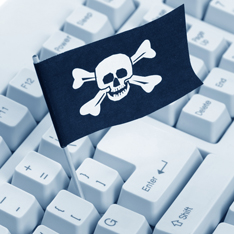 Супружеская пара осуждена за интернет-пиратство